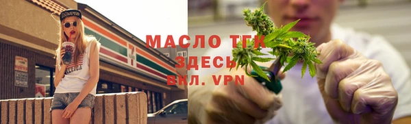 дмт Краснослободск